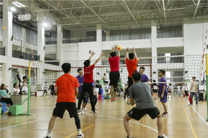 “共青团杯”气排球赛完美收官 3044永利集团收获双季军